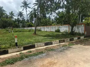 වටිනා ඉඩමක් යක්කල