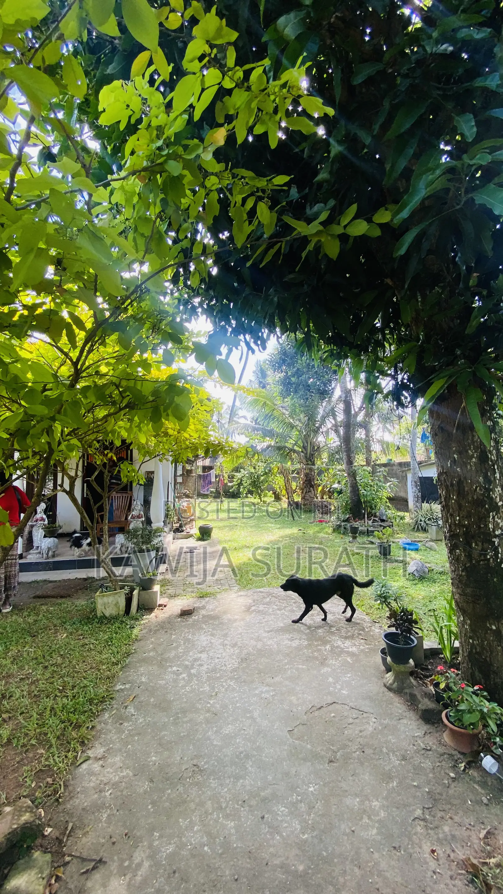 Furnished 4bdrm House in Ja-Ela for sale