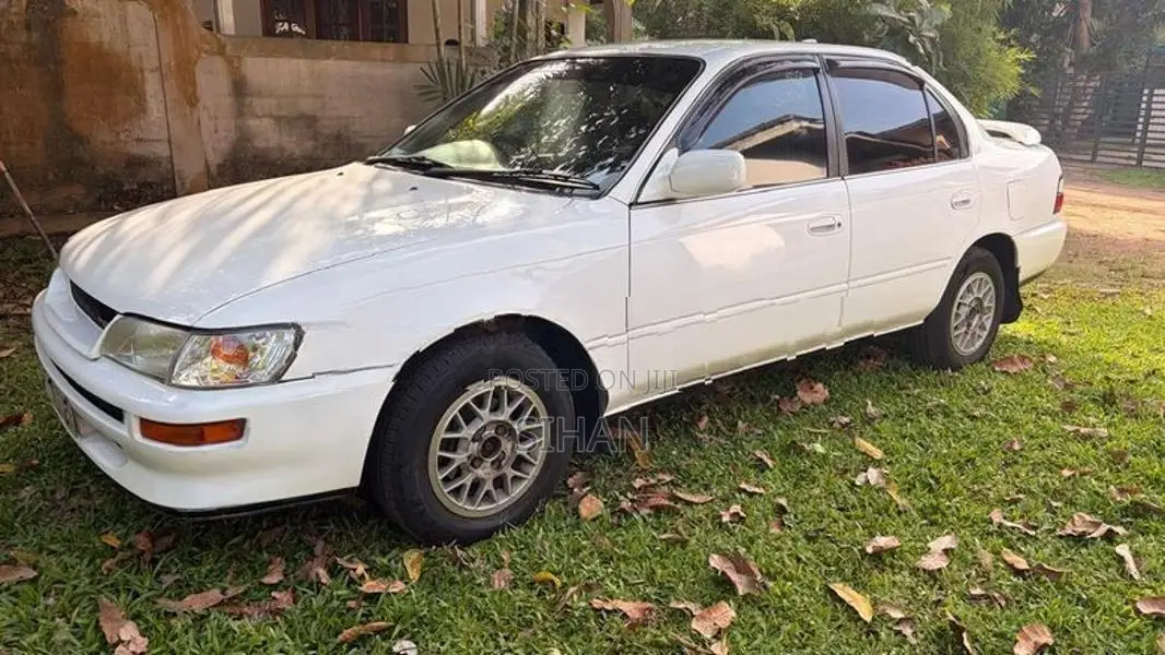 Toyota Corolla 1995