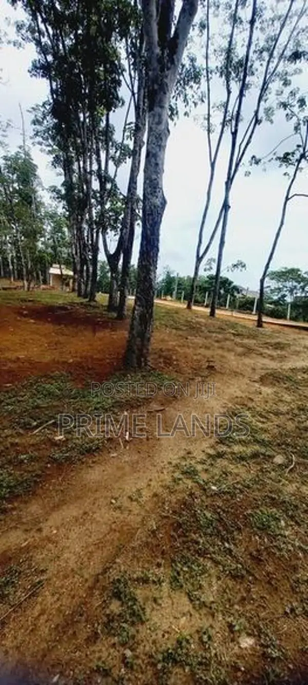 Land for Sale Bellapitiya