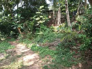 Prime Residential Land for Sale in Puwakpitiya, Avissawella