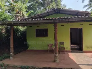 Prime Residential Land for Sale in Puwakpitiya, Avissawella