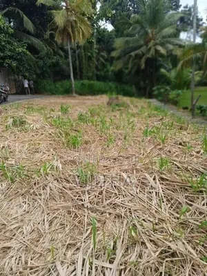 Land for Sale Koswatta