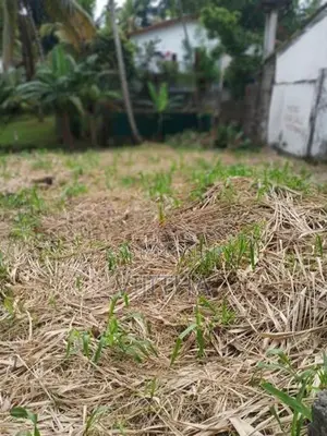 Land for Sale Koswatta