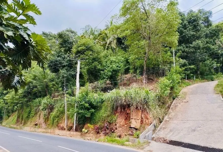 මහනුවර අම්පිටිය පාරේ අගනා පර්චස් 16.25 ක ඉඩම විකිණීමට