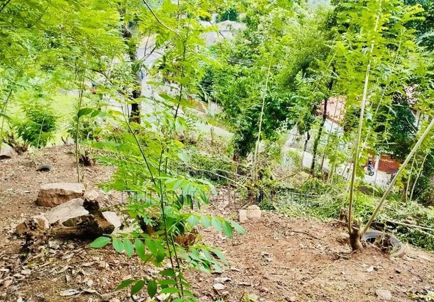 මහනුවර අම්පිටිය පාරේ අගනා පර්චස් 16.25 ක ඉඩම විකිණීමට