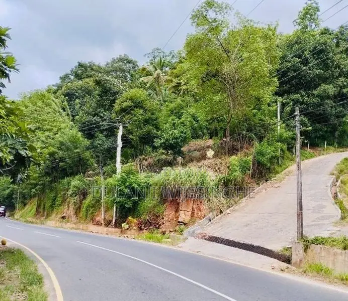 මහනුවර අම්පිටිය පාරේ අගනා පර්චස් 16.25 ක ඉඩම විකිණීමට