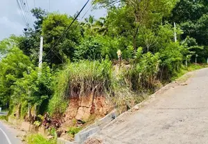 මහනුවර අම්පිටිය පාරේ අගනා පර්චස් 16.25 ක ඉඩම විකිණීමට