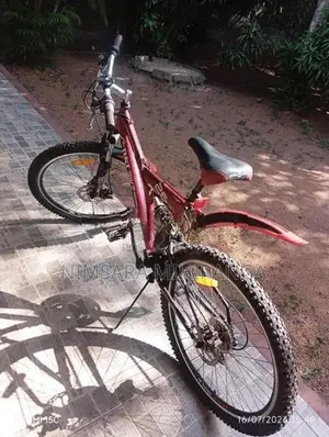 DSI Bicycle