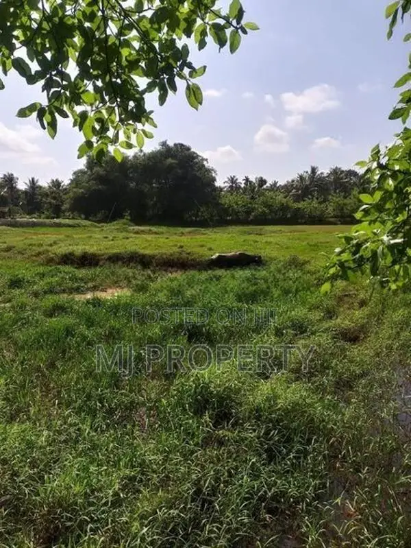 ( TC-1112) Valuable Commercial Bare Land Sale in Malwana Mapitigama