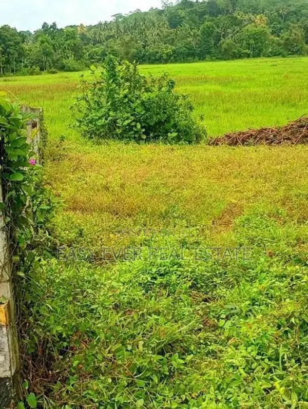 හංවැල්ලෙන් වෙල් යායකට මායිම් බිම් කැබැල්ලක් / AJ 14730
