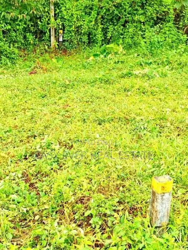 හංවැල්ලෙන් වෙල් යායකට මායිම් බිම් කැබැල්ලක් / AJ 14730