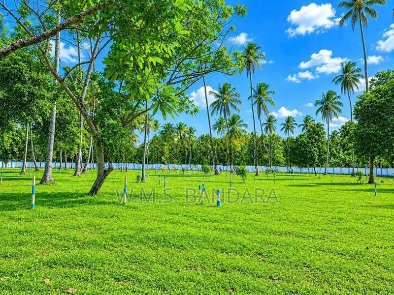 Land for Sale in Mellawagedara
