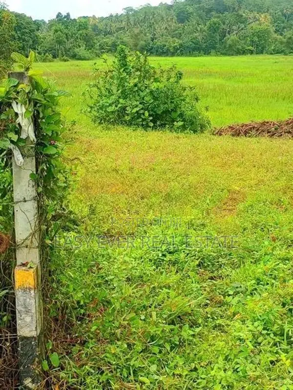 හංවැල්ලෙන් වෙල් යායකට මායිම් බිම් කැබැල්ලක් / AJ 14730