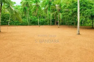 Valuable Land for Sale in Wathupitiwala