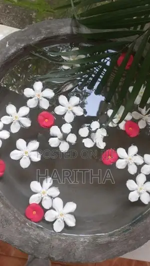 Garden water bowl pokunu pot