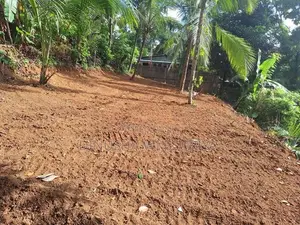 Land for Sale in Homagama