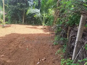 Land for Sale in Homagama