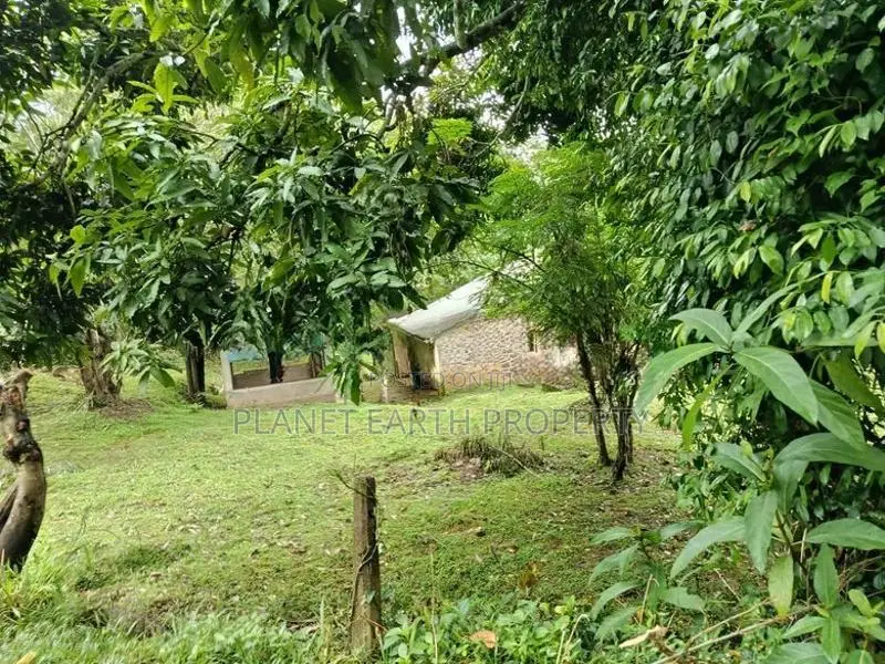 Prime Residential Land Badulla
