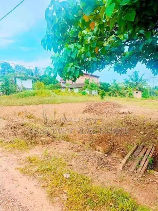 හන්වැල්ල ආටිගලින් Prime Lands බිම් කොටසක් / Aj 10158