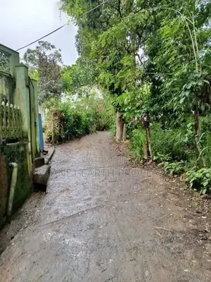 Prime Residential Land Badulla