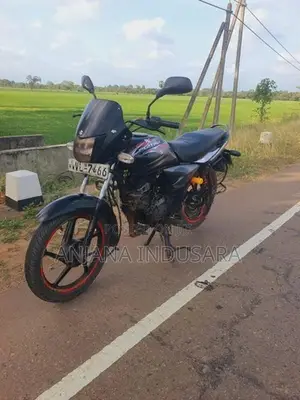 Bajaj Platina 2009