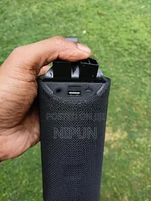 RD 113 Portable Wireless Speaker
