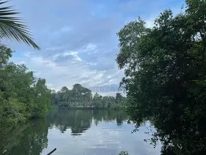 Rare Waterfront Estate for Sale – Koggala Lake, Habaraduwa | 200 Perch