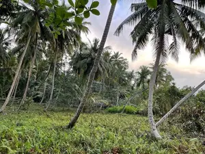 Rare Waterfront Estate for Sale – Koggala Lake, Habaraduwa | 200 Perch