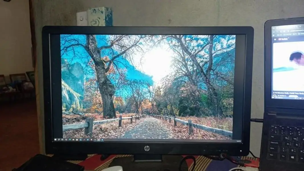 Hp Monitor