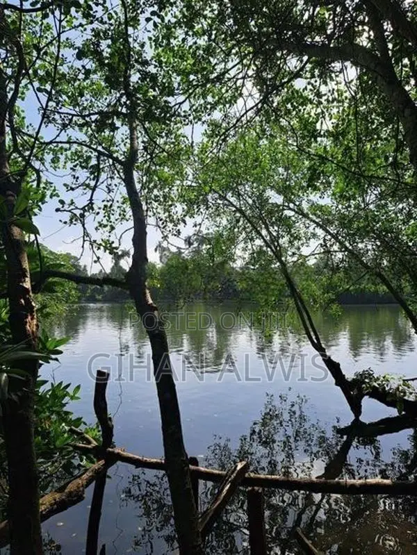 Rare Waterfront Estate for Sale – Koggala Lake, Habaraduwa | 200 Perch