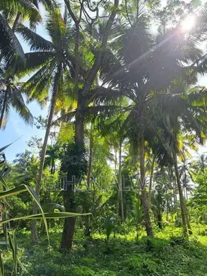 Rare Waterfront Estate for Sale – Koggala Lake, Habaraduwa | 200 Perch
