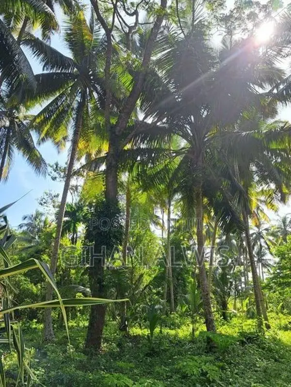 Rare Waterfront Estate for Sale – Koggala Lake, Habaraduwa | 200 Perch