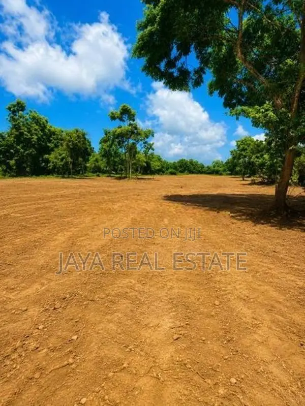 Best Land For Sale In Thangalle Rekawa