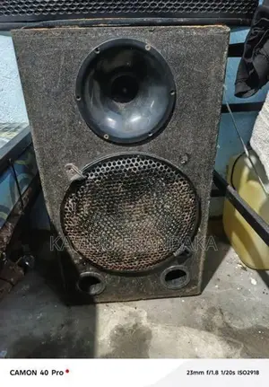Speaker