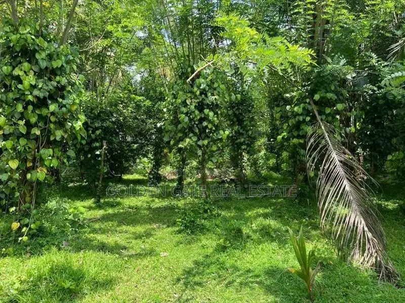 Land for Sale Kiribathgoda