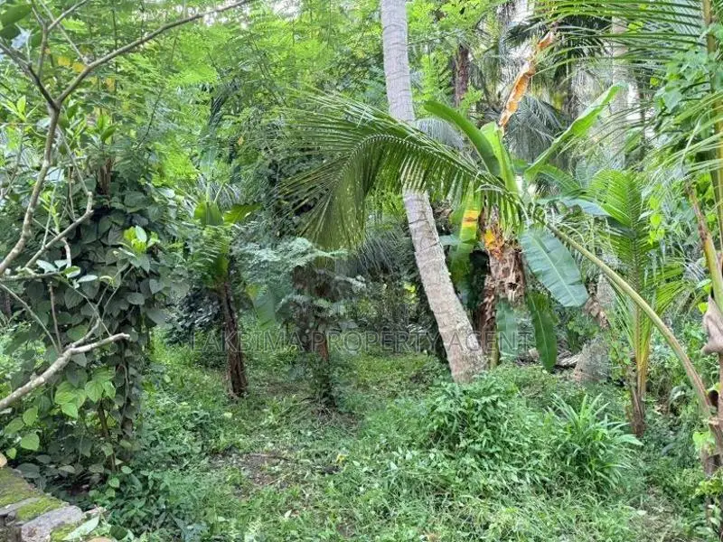 Land for Sale in Kandy