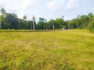 Mirigama දිවුලපිටිය ප්‍රධාන පාරට ආසන්නයෙන් ඉඩමක්