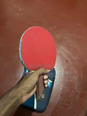 Table Tennis Long Pimple Racket