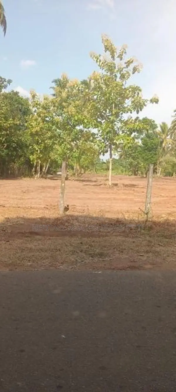 Land for Sale Anuradapura