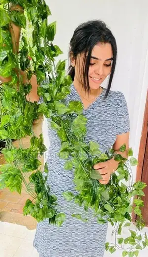 Artificial Plants