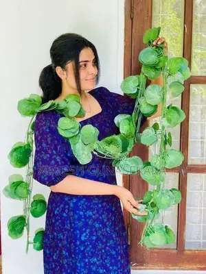 Artificial Plants