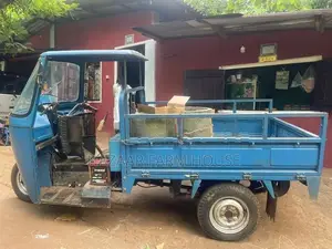 SENARO Three Wheeler 2010