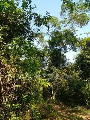 Beliatta, 534 Perches of Land for Sale
