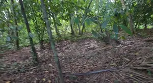 කටුගස්තොට නගරයට 1.5 km ක් දුරින් සමතලා ප‍ර්චස් 140 විකිණීමට