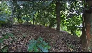 කටුගස්තොට නගරයට 1.5 km ක් දුරින් සමතලා ප‍ර්චස් 140 විකිණීමට