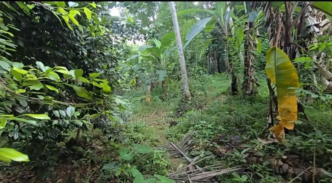 කටුගස්තොට නගරයට 1.5 km ක් දුරින් සමතලා ප‍ර්චස් 140 විකිණීමට
