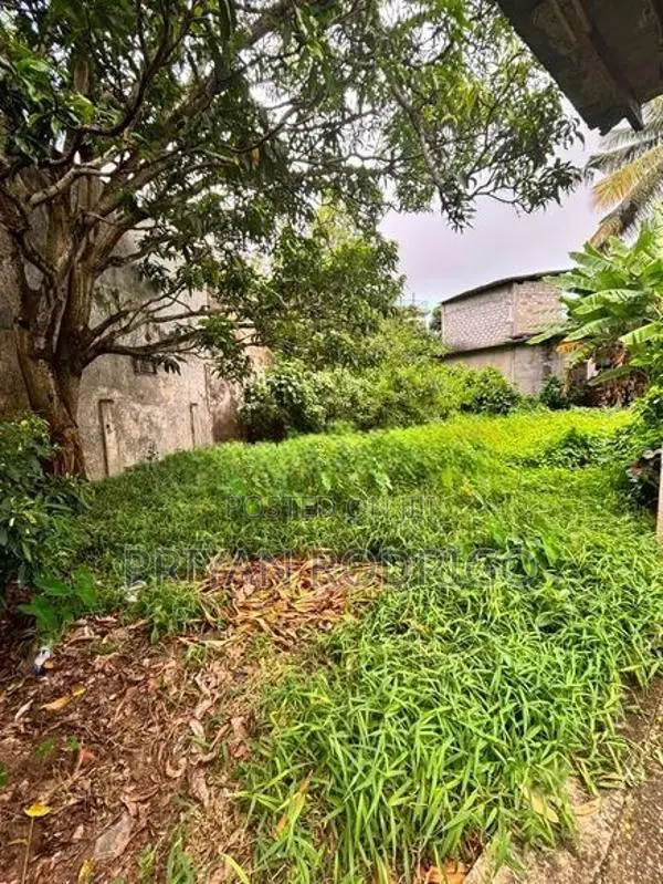 Kalubowila, Facing Peiris Avenue 36.6 Perches of Land for Immediate Sa