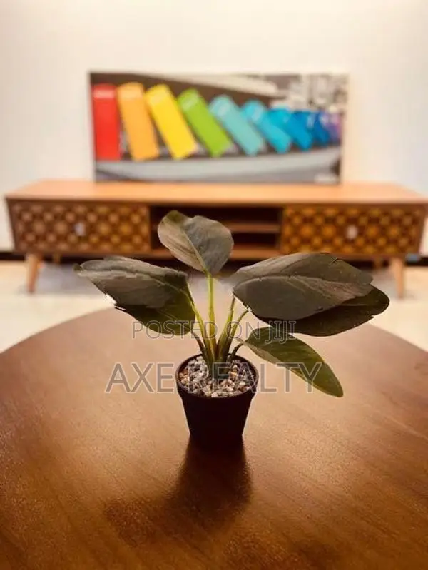 Fully Furnished Tri-zen 2 Bed For Rent (BPO Welcome)Colombo 02