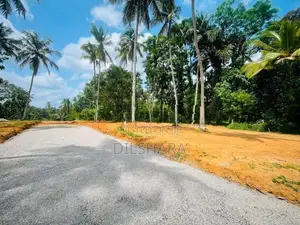නුවර කොළඹ මාර්ගයට ඉතාම ආසන්නව වටිනා බිම් කොටස් කිහිපයක්